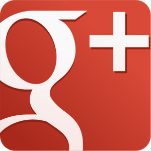 Google Plus 1